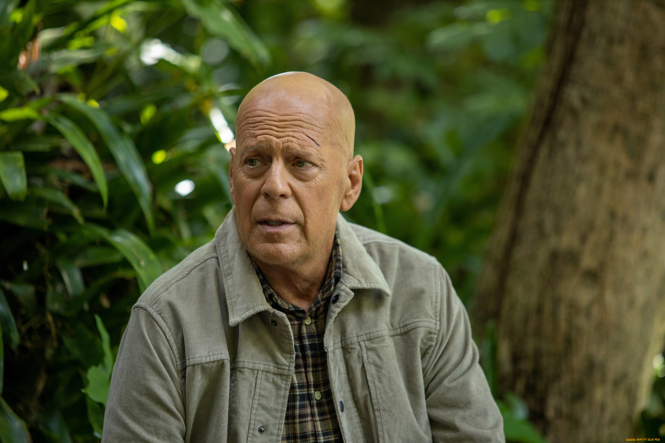 out of death ,  2021 ,  , out of death, out, of, death, bruce, willis, author, oreskis, , , , , , , , jack, harris